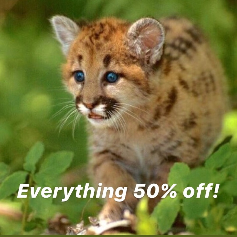 WEEKEND SALE! EVERYTHING 50% OFF!